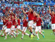 乐鱼体育网站入口-匈牙利队在欧洲杯比赛中失利