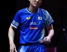 乐鱼 vip 注册-法国乒乓球队力克日本乒乓球队，张本智和惊艳世界的简单介绍