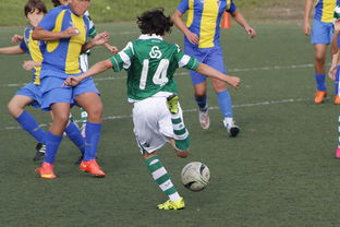 乐鱼体育app-美国逆转日本,博格巴制霸全场